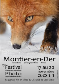 festival photo montier en der affiche 201x285 Exposez votre photo au festival de Montier en Der grâce à TiragesPro