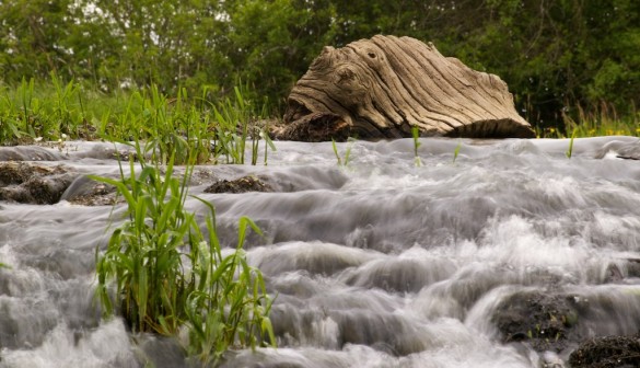 filé de cascade