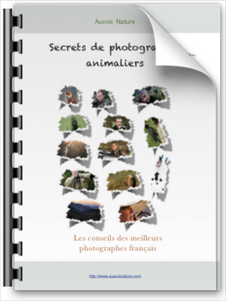 secrets photographes animaliers