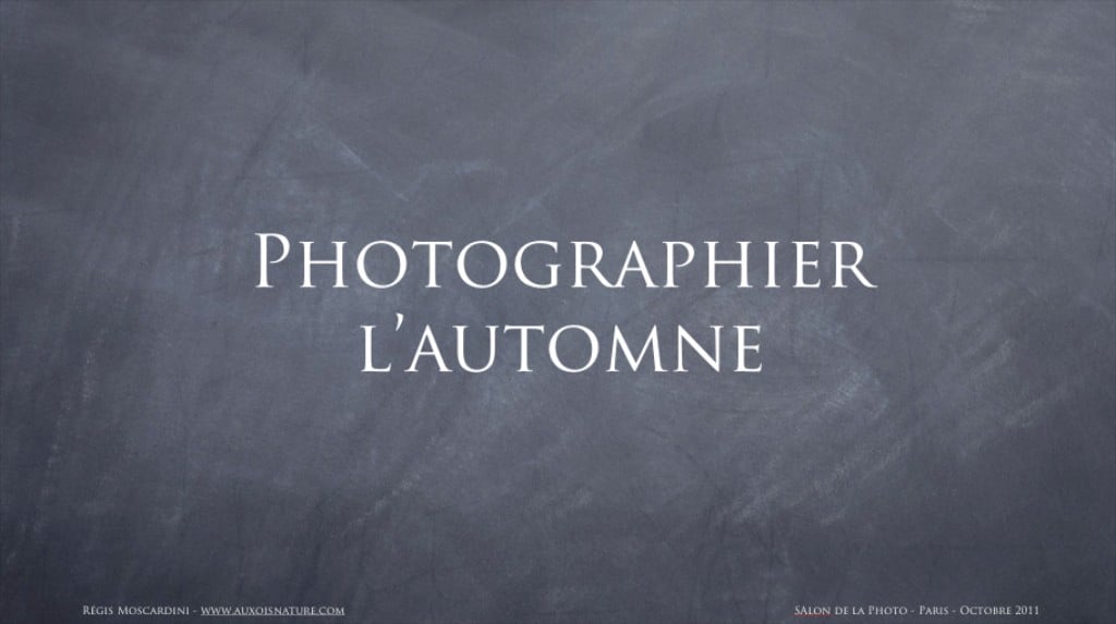 [Vidéo] Comment faire pour photographier l’automne