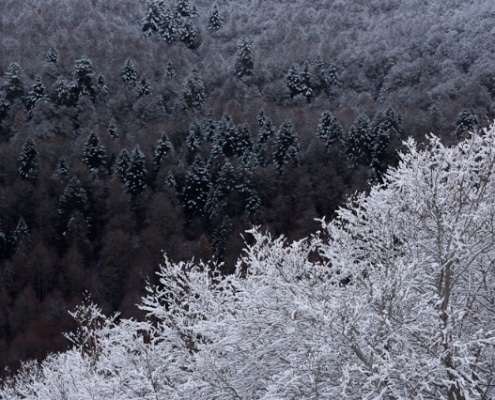 Paysage - Stéphanie Augras