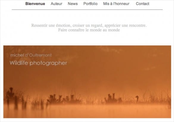 site internet michel doultremont