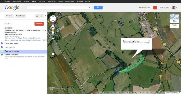 capture ecran google maps carte oiseau