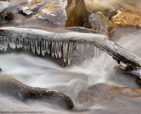 eau filé glace