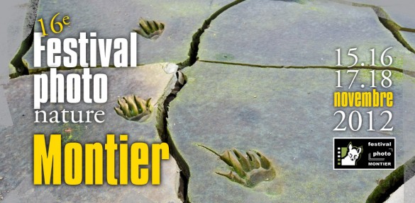 logo montier en der