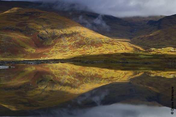 photographe nature denis palanque 3