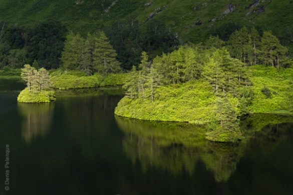 photographe nature denis palanque