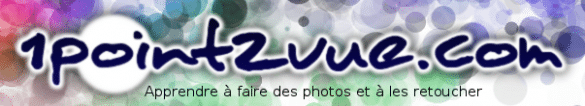 logo point de vue