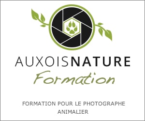Les Ateliers du Photographe Animalier, c’est parti !