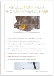 fiche-pdf-photographier-nature-animaux-hiver