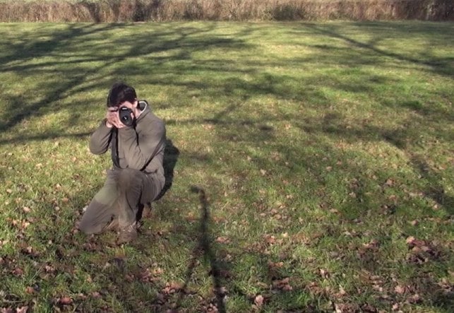 Position Photo Animaliere