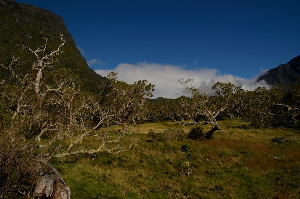 La photographie originale d'un paysage de la réunion. Sans traitement, c'est fade !