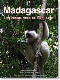 madagascar1