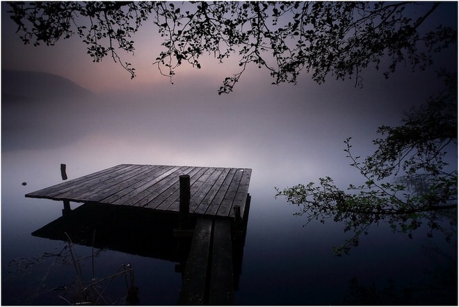 Grillère, un photographe de nature à