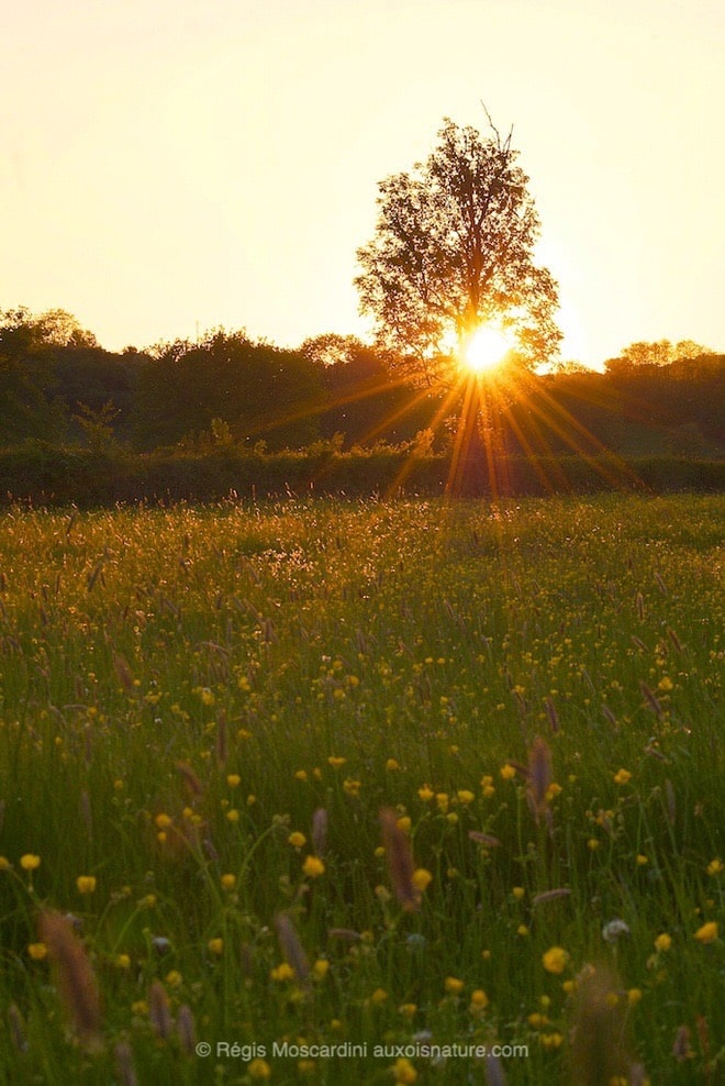 photographie_coucher_de_soleil2