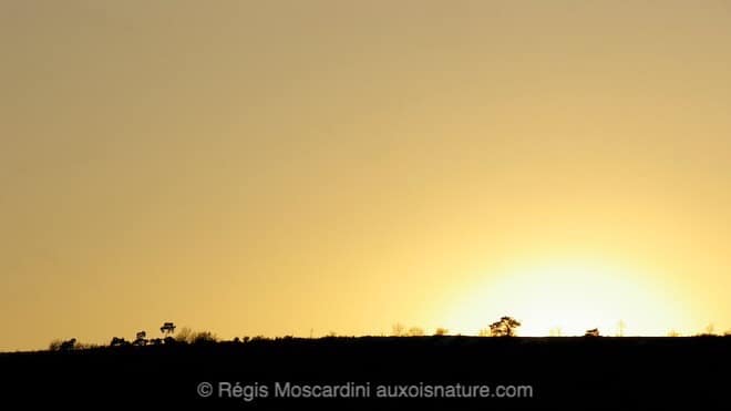 photographie_coucher_de_soleil3