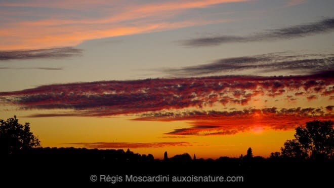 photographie_coucher_de_soleil4