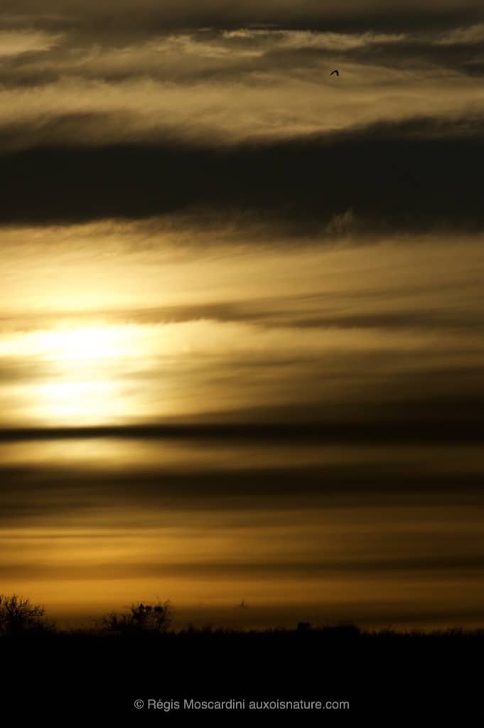 photographie_coucher_de_soleil5