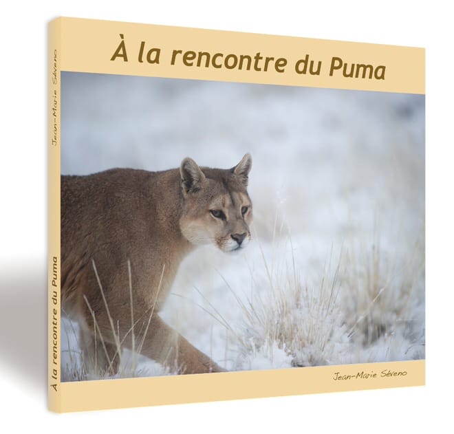 couv-puma-jean-marie-seveno-1