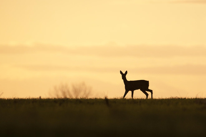 © Baptiste Guigue, sous licence CC BY-NC-N