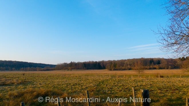 Paysage visible depuis une route de campagne