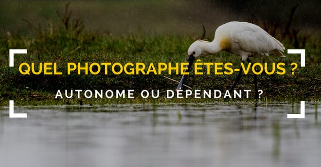 Découvrez quel photographe vous êtes : Autonome ou Dépendant ?