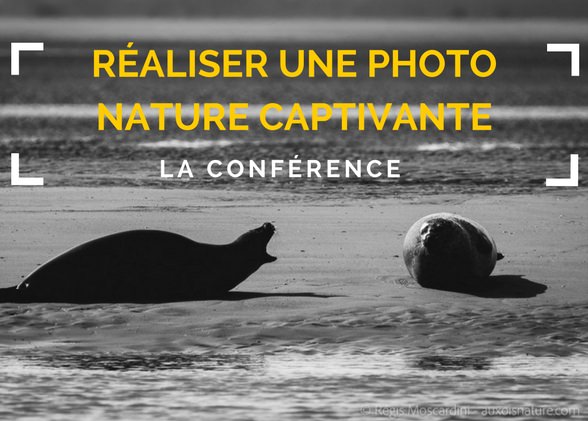 Comment réaliser une photo nature captivante.