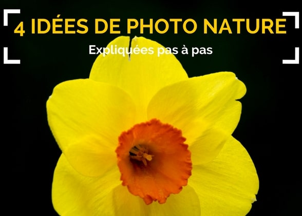 4 idées de photos nature expliquées pas à pas