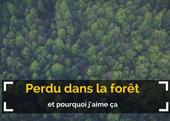 Perdu dans la forêt (et pourquoi j’aime ça)