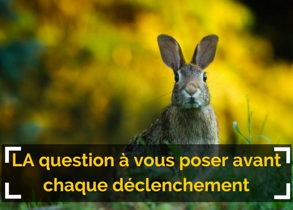 LA question à vous poser avant chaque déclenchement