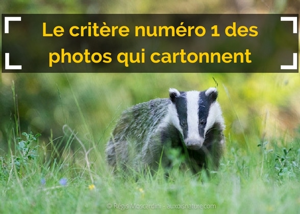 Le critère numéro 1 des photos qui cartonnent