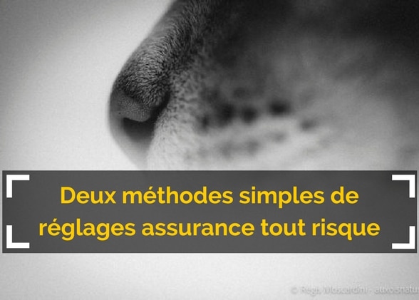 Deux méthodes simples de réglages assurance tout risque