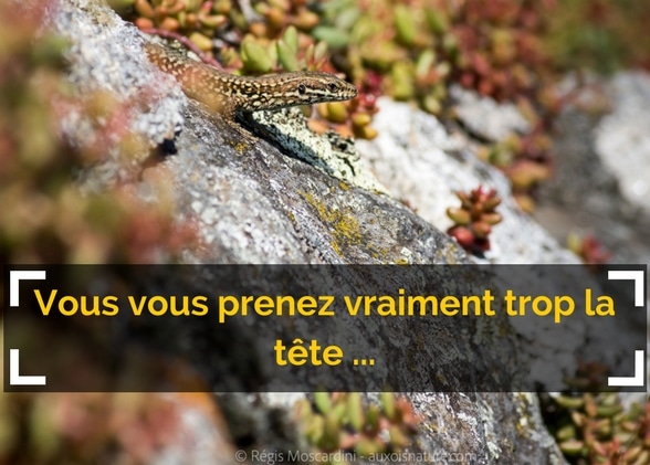 Vous vous prenez vraiment trop la tête …