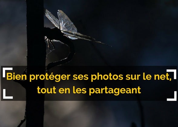 Bien protéger ses photos sur le net, tout en les partageant