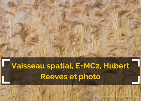 Vaisseau spatial, E=MC2, Hubert Reeves et photo (quand même)