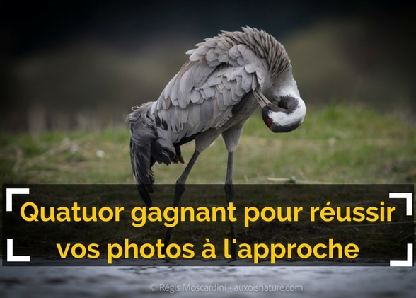 Un quatuor gagnant pour réussir vos photos à l’approche