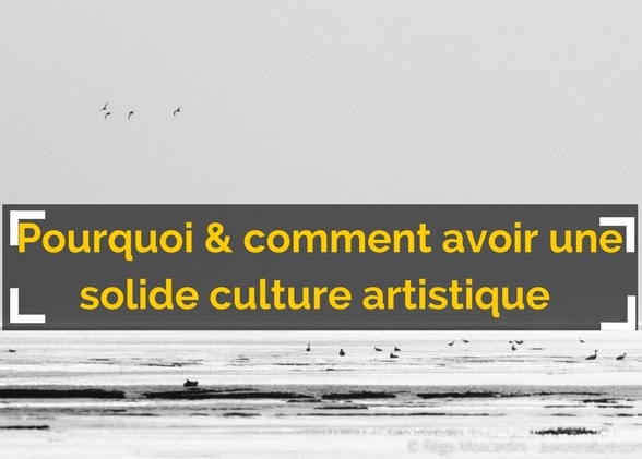 Pourquoi et comment se construire une solide culture artistique