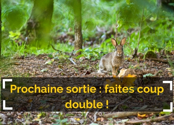 Votre prochaine sortie ? Faites coup double !