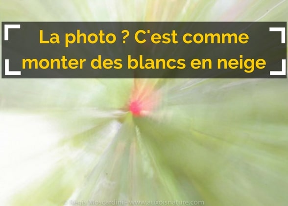 La photo c’est comme les blancs en neige