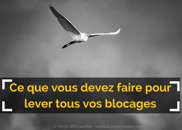 Ce que vous devez faire pour lever tous vos blocages photos