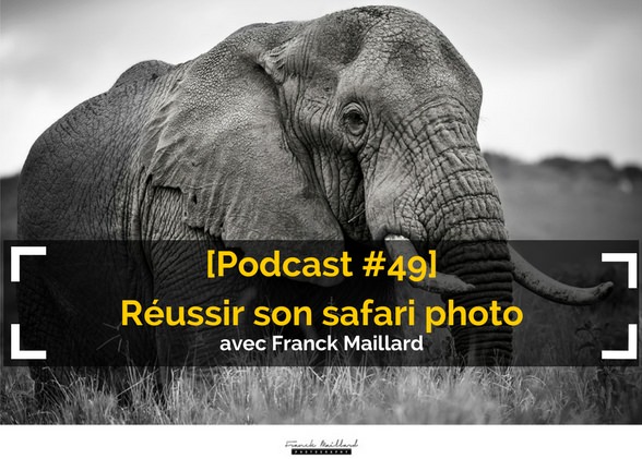 [Podcast #49] Réussir son safari photo avec Franck Maillard