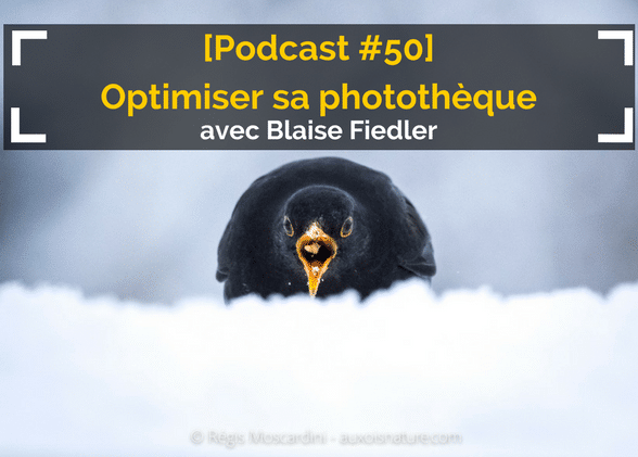 [Podcast #50] Tout savoir pour optimiser et compresser vos photos avec Blaise Fiedler