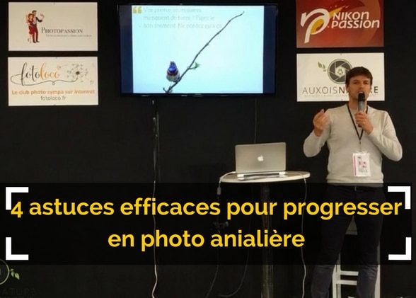 4 astuces simples et efficaces pour progresser en photo animalière