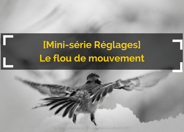 [Mini-série Réglages] 2/3 : la beauté du flou (et comment faire)