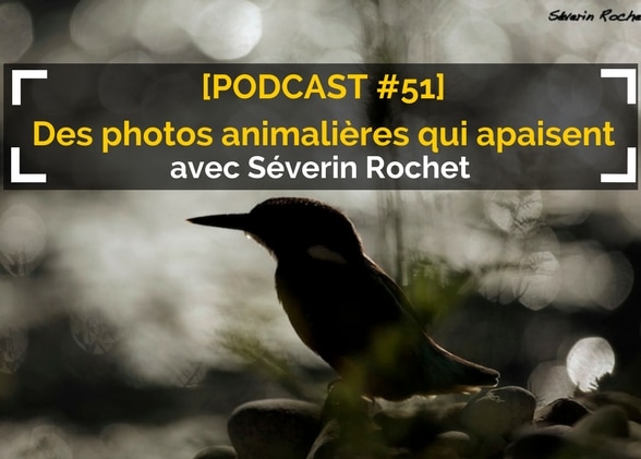 [Podcast #51] Des photos animalières qui apaisent avec Séverin Rochet