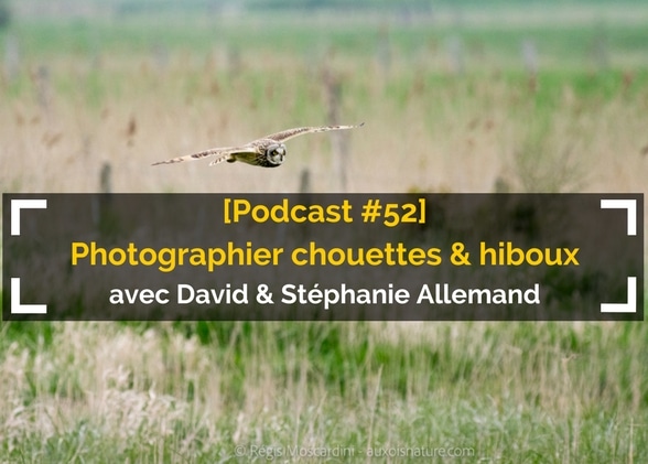 [Podcast #52] Photographier chouettes et hiboux avec Stéphanie et David Allemand