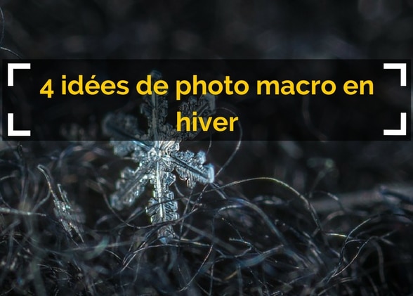 4 idées de photo macro en hiver