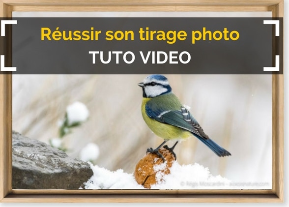 [Tutoriel vidéo] Les bonnes pratiques pour réussir son tirage photo