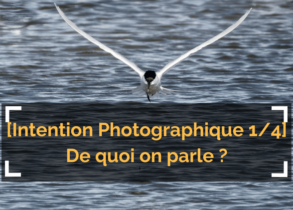 [L’Intention Photographique – 1/4] Au fait … Pourquoi vous prenez une photo ?