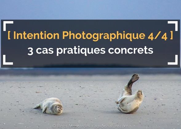 [L’Intention Photographique – 4/4] 3 cas pratiques décortiqués